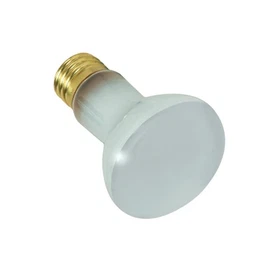 Satco S7001 - 100 Watt R20 Dimmable Bulb - 130 V - Great for Pools! (6 or 10 PK)
