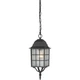 Nuvo Adams 1 Light 16" Outdoor Hanging, Frosted Glass, Textured Black - 60-4913