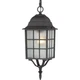 Nuvo 60-4913 - 16" Outside Hanging Lights in Textured Black Finish
