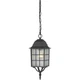 Nuvo Lighting 60/4913 Adams Outdoor Pendant or Chandeller Textured Black