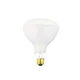 Satco 7007 Pool And Spa Bulb 500W 130V